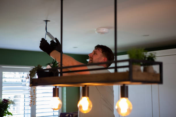 Best Licensed Electrician  in Mendon, IL