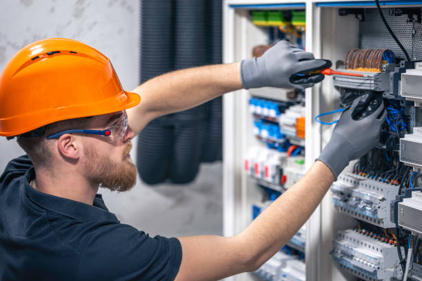 Best Electrician for Home Renovation  in Mendon, IL